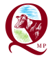 logo qmp